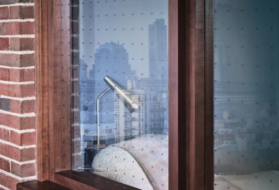 birdstrike bird strike film